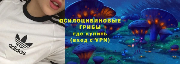 стаф Алзамай