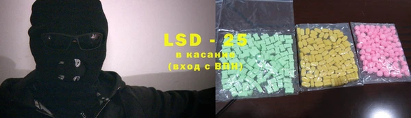стаф Алзамай