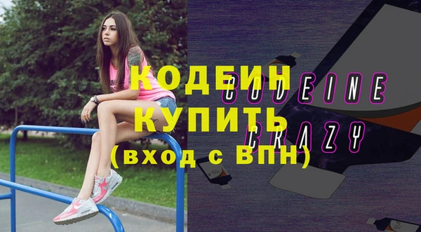стаф Алзамай